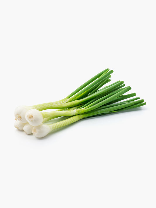 Cambray Onion