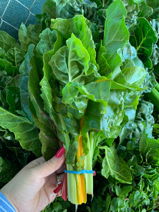 Swiss Rainbow Chard