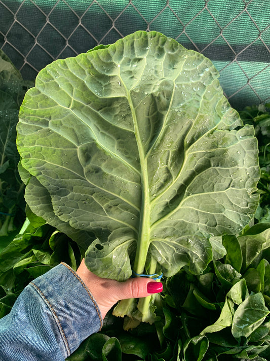 Collard Greens