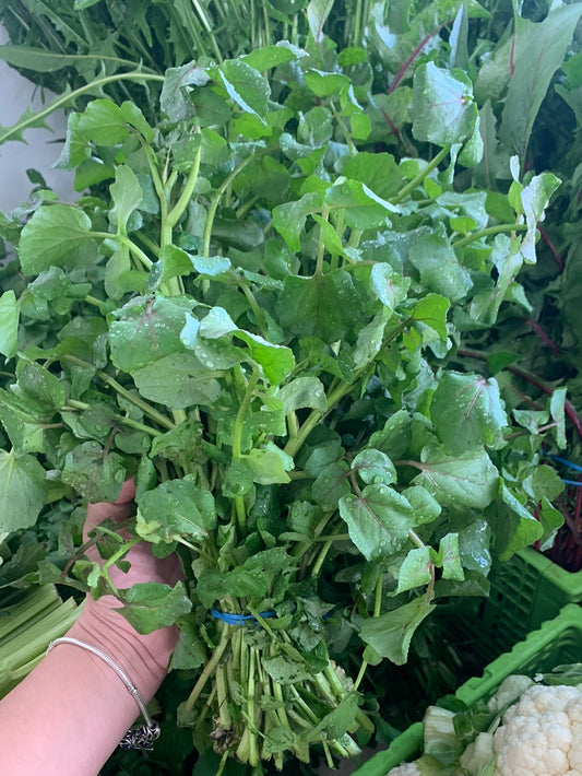 Watercress