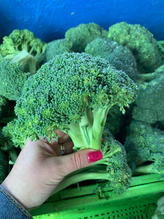 Broccoli