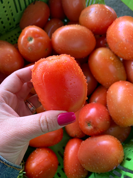 Roma Tomato