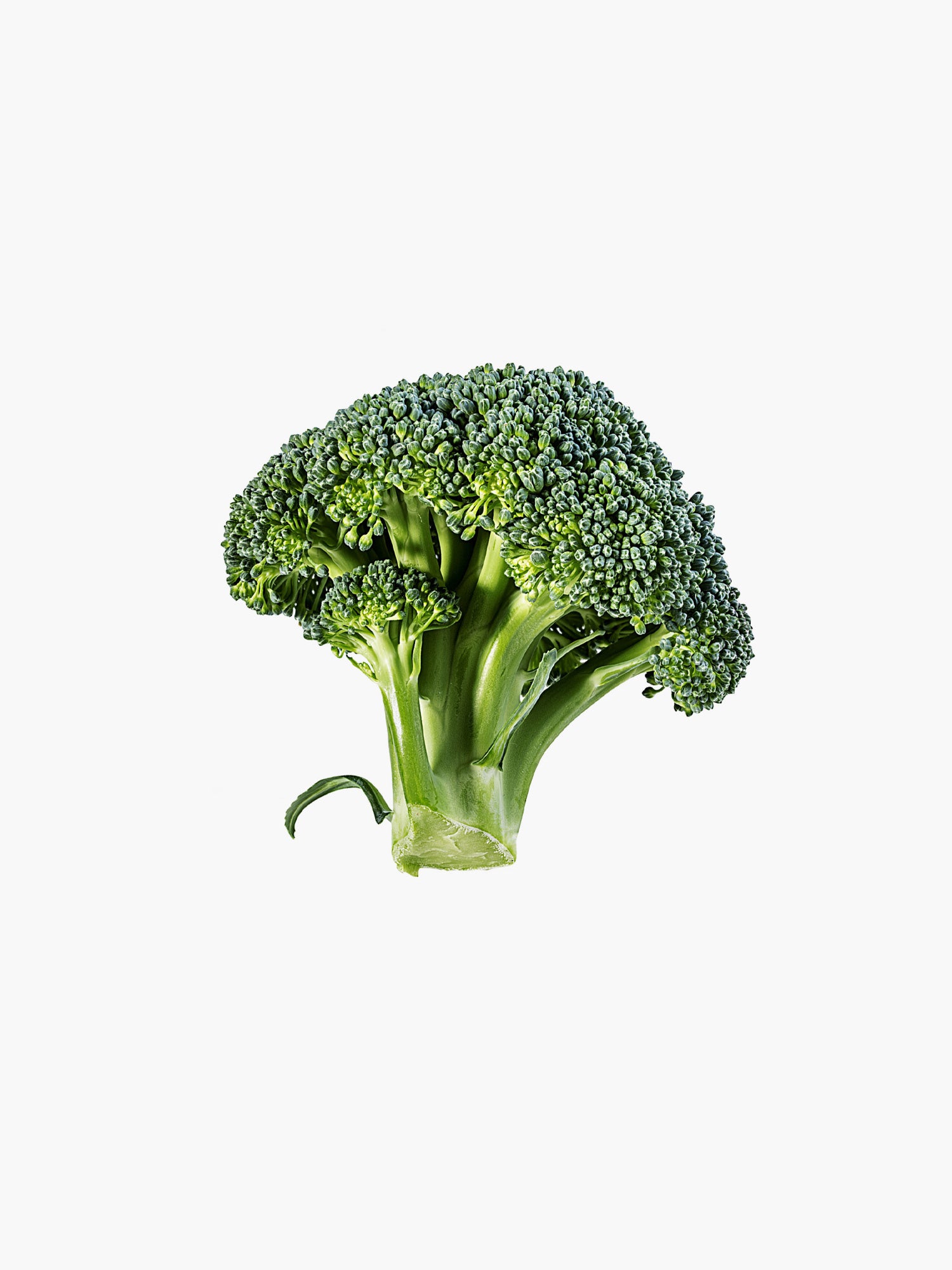 Broccoli