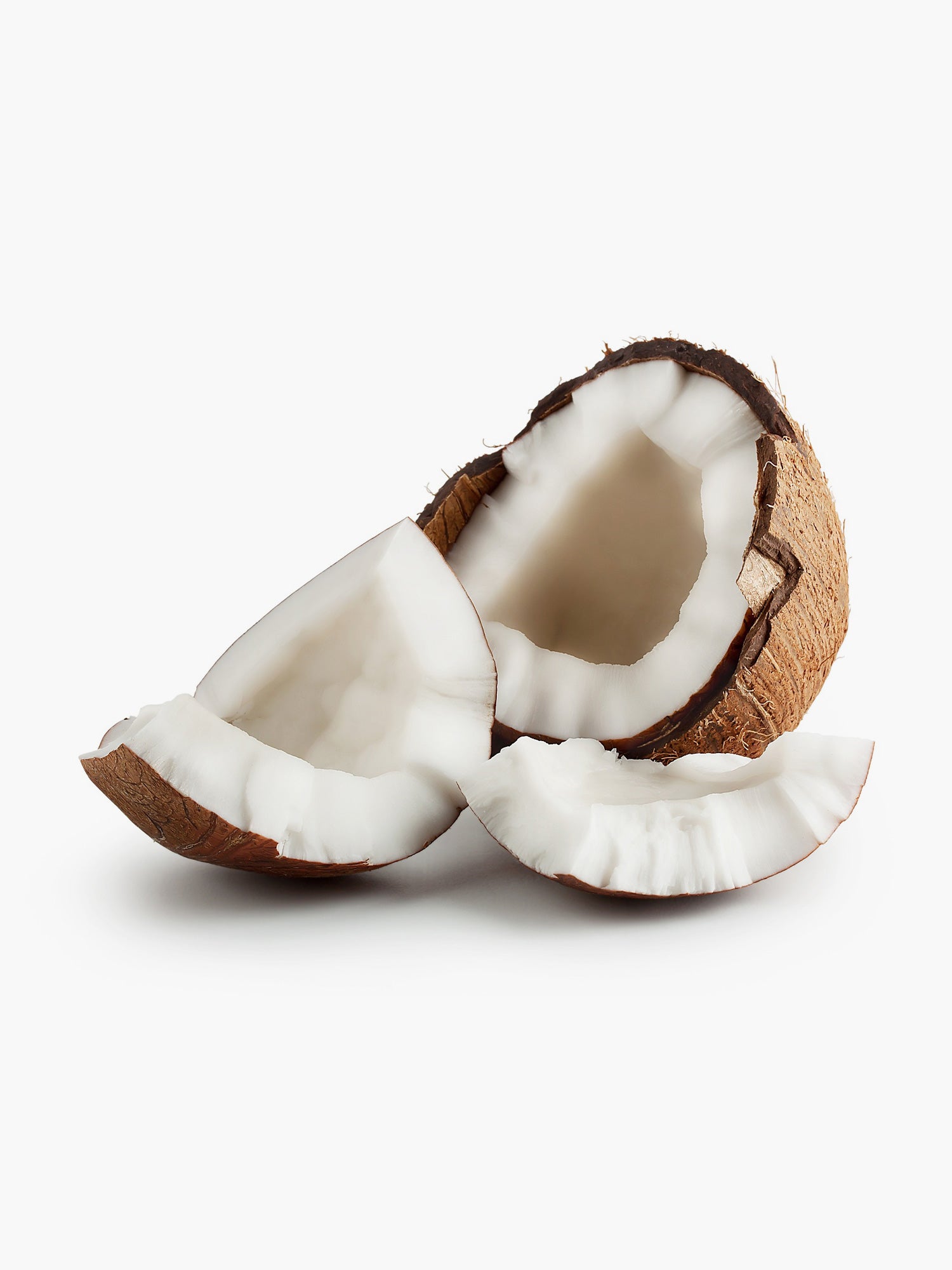 Coconut