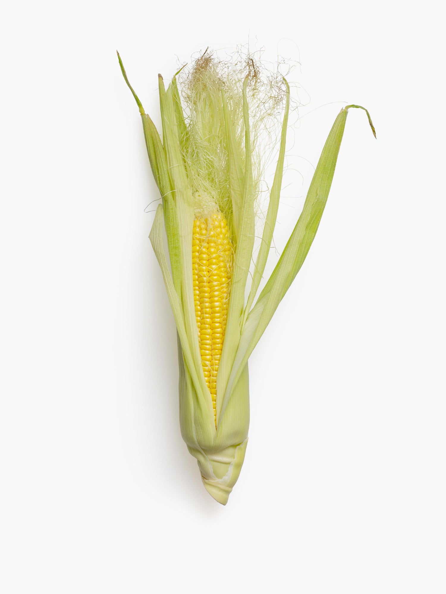 Corn