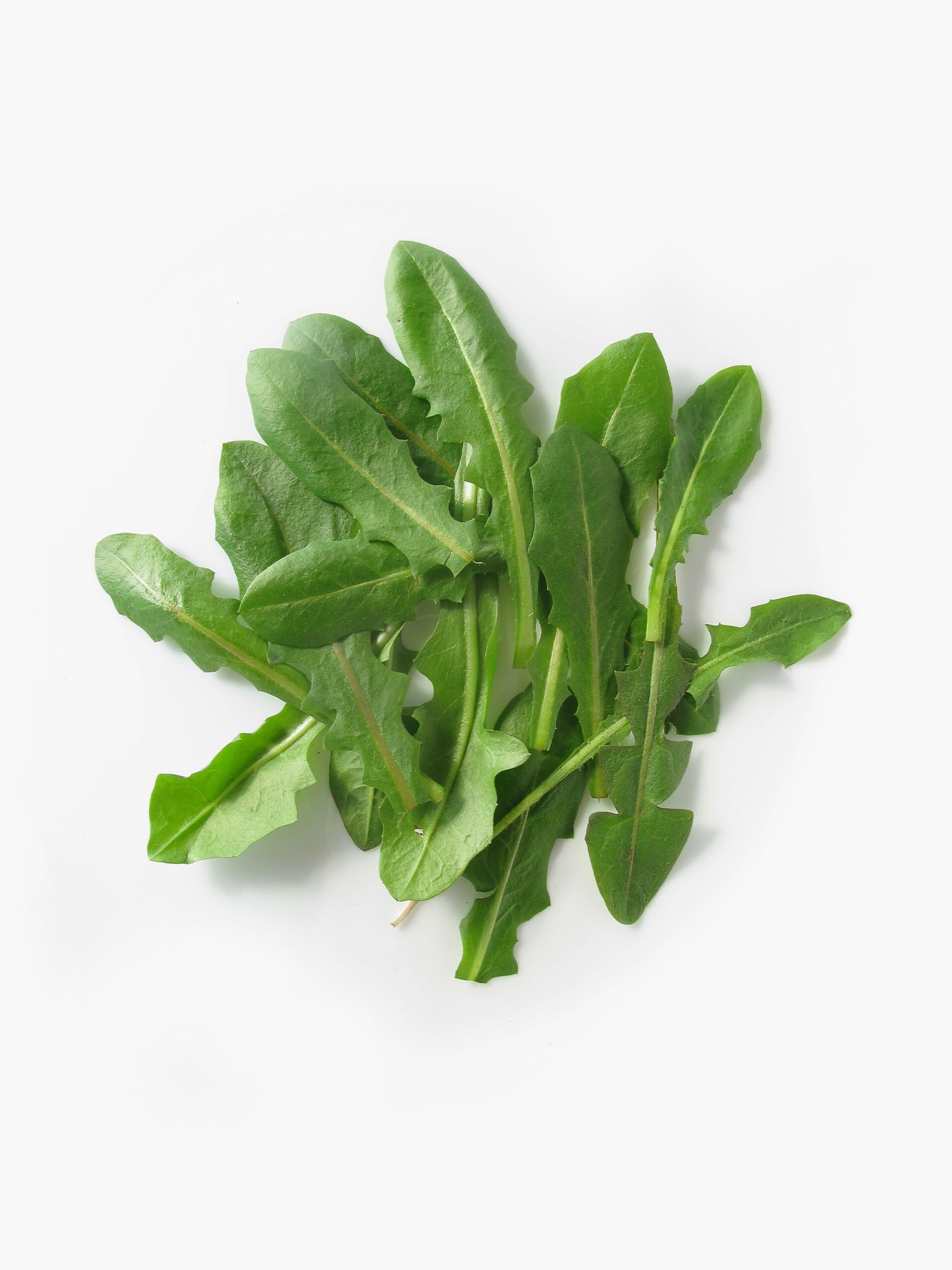 Dandelion Greens