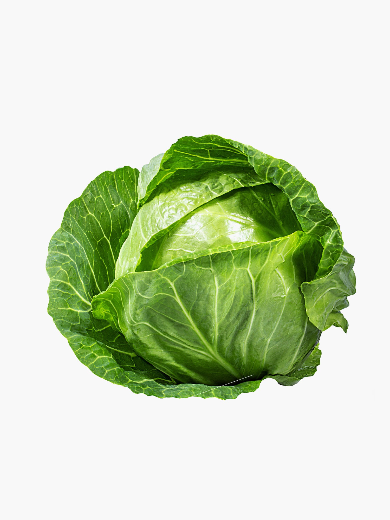 Green Cabbage