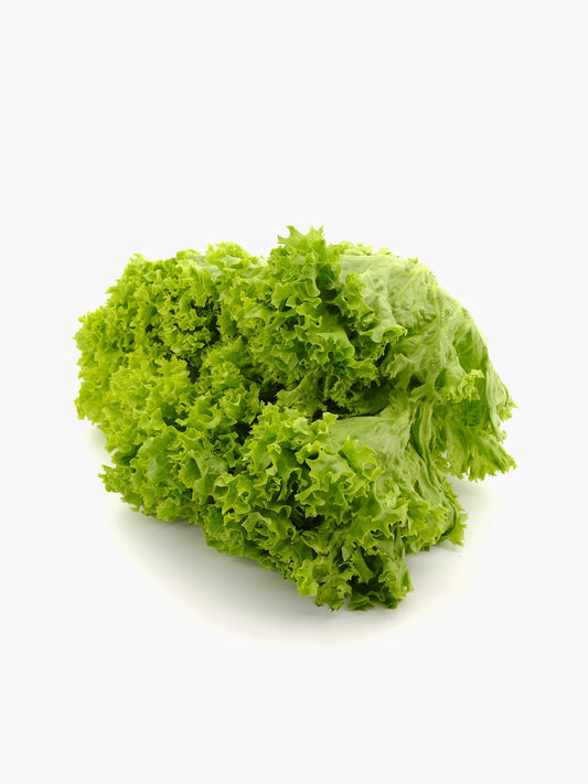 Green Leaf Lettuce