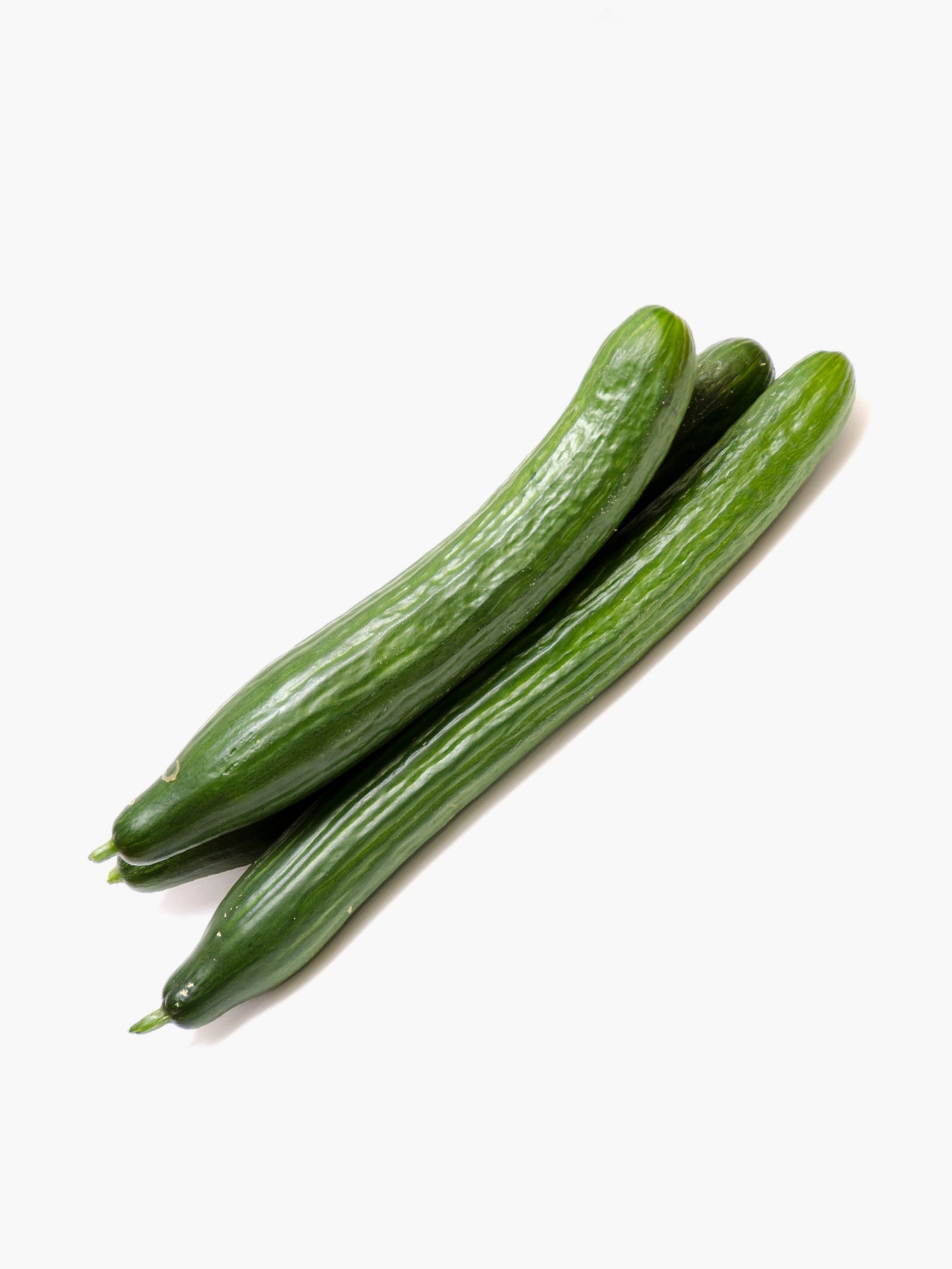 Persian Cucumber