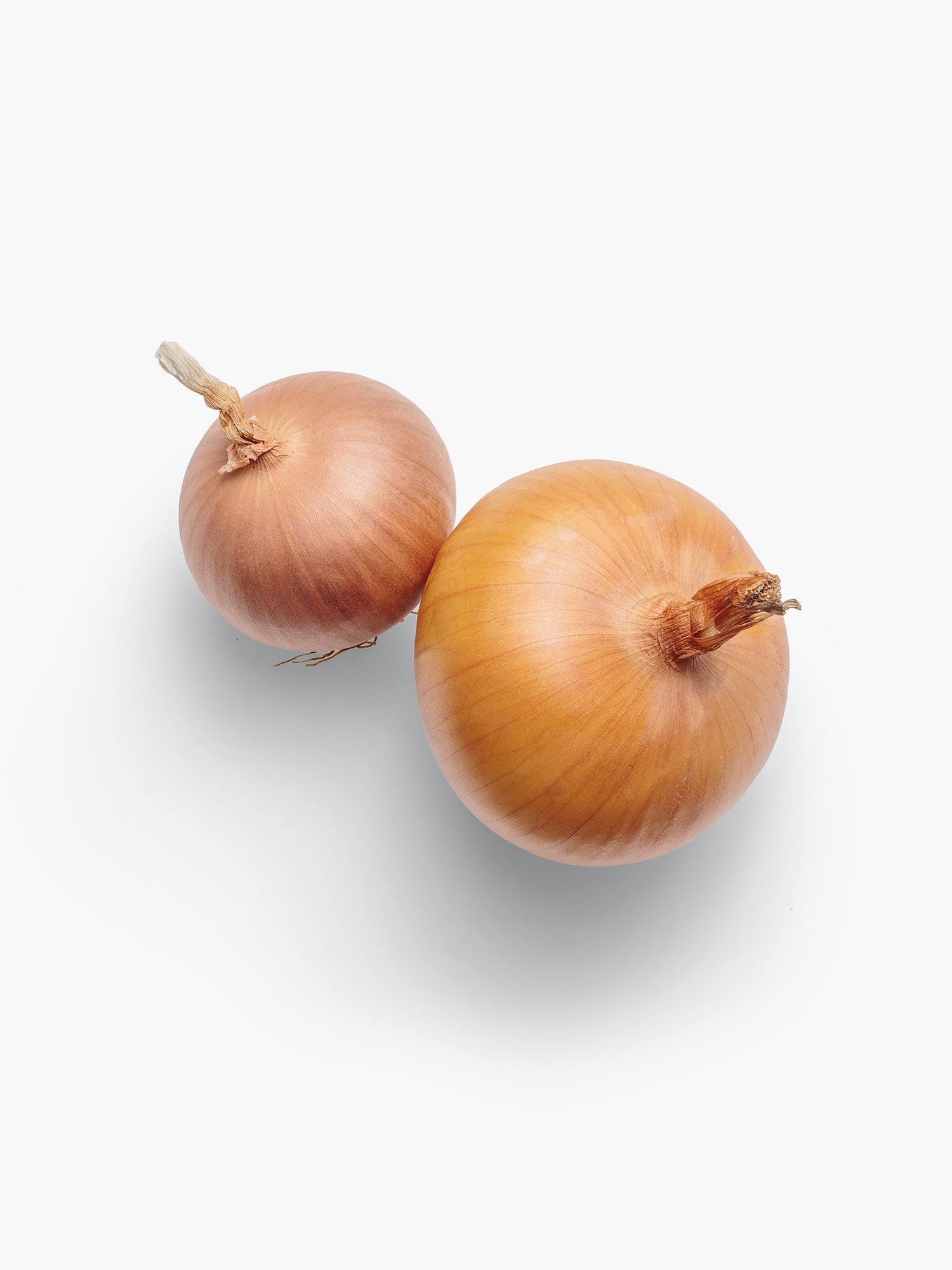 Yellow Onion