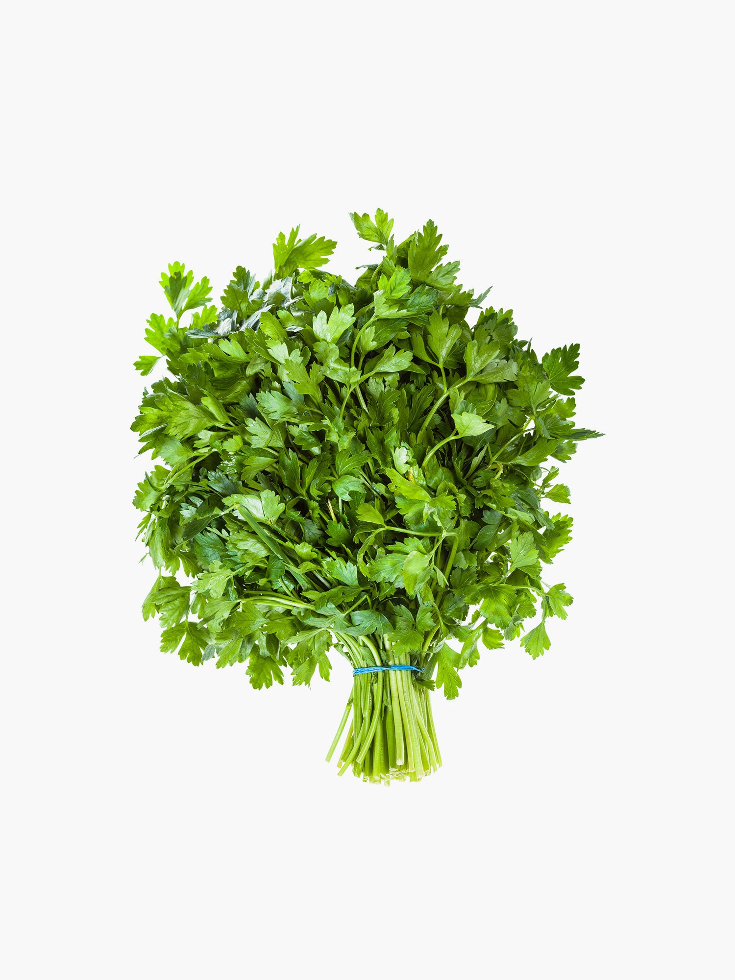 Parsley