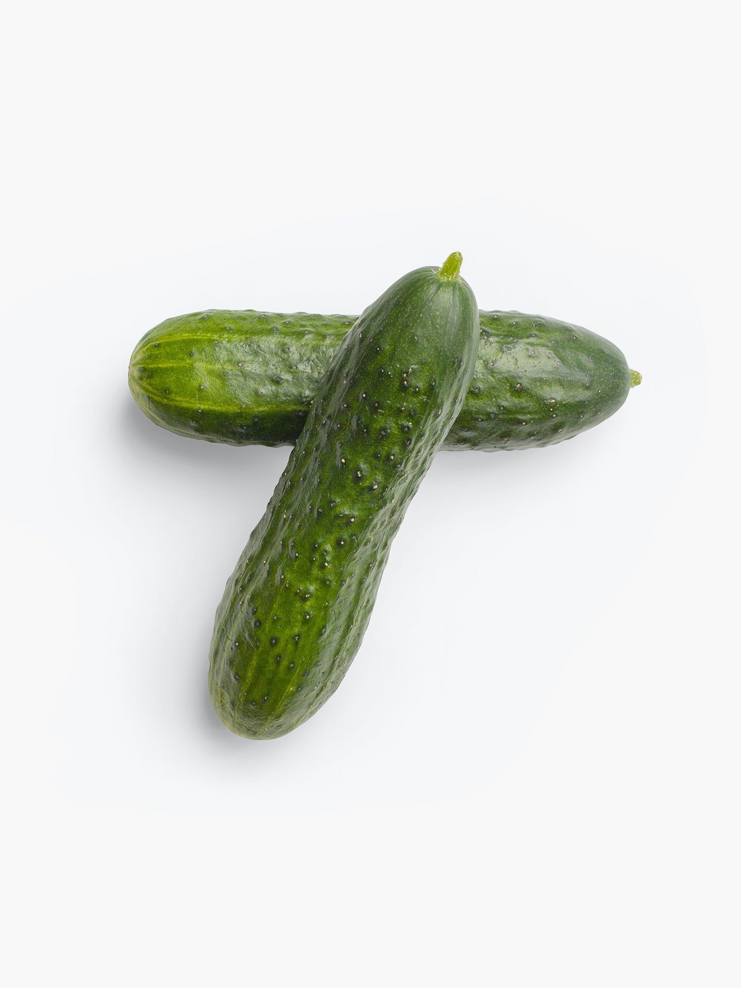 Pickling Cucumber