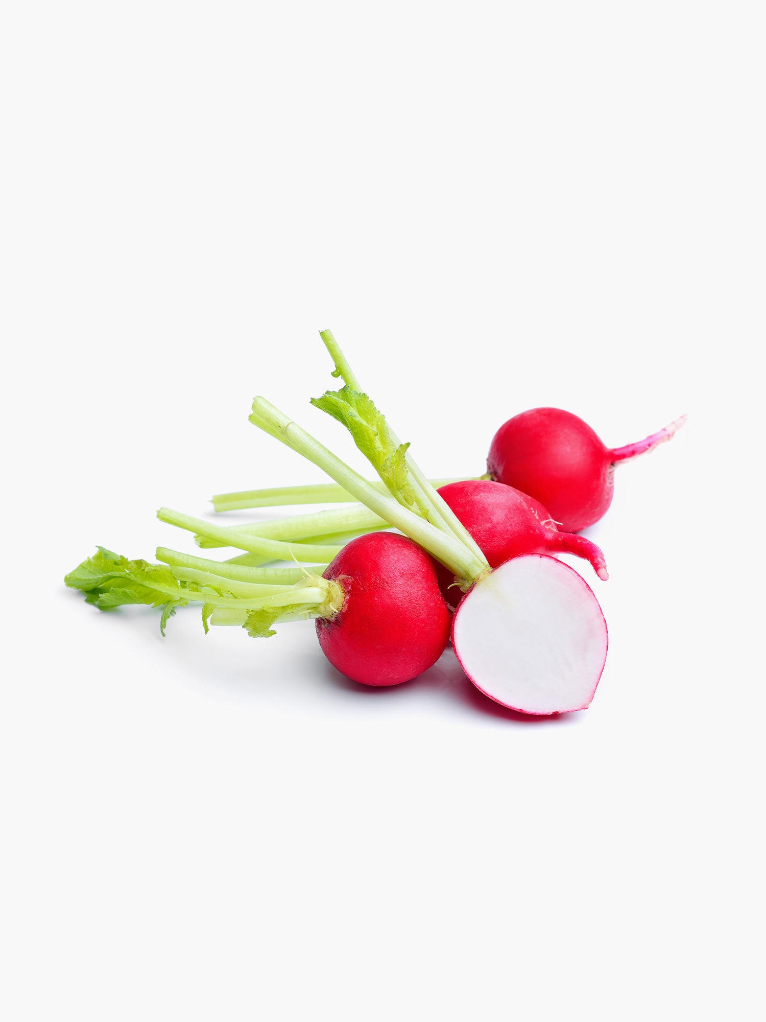 Radish
