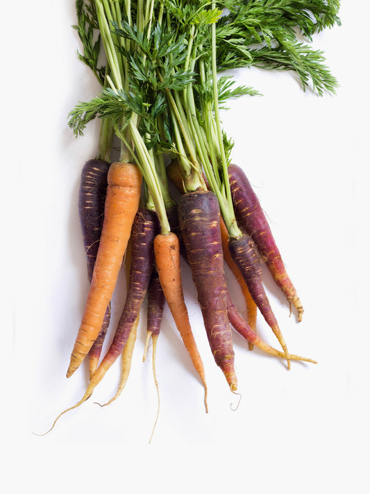 Long Stalk Rainbow Carrots