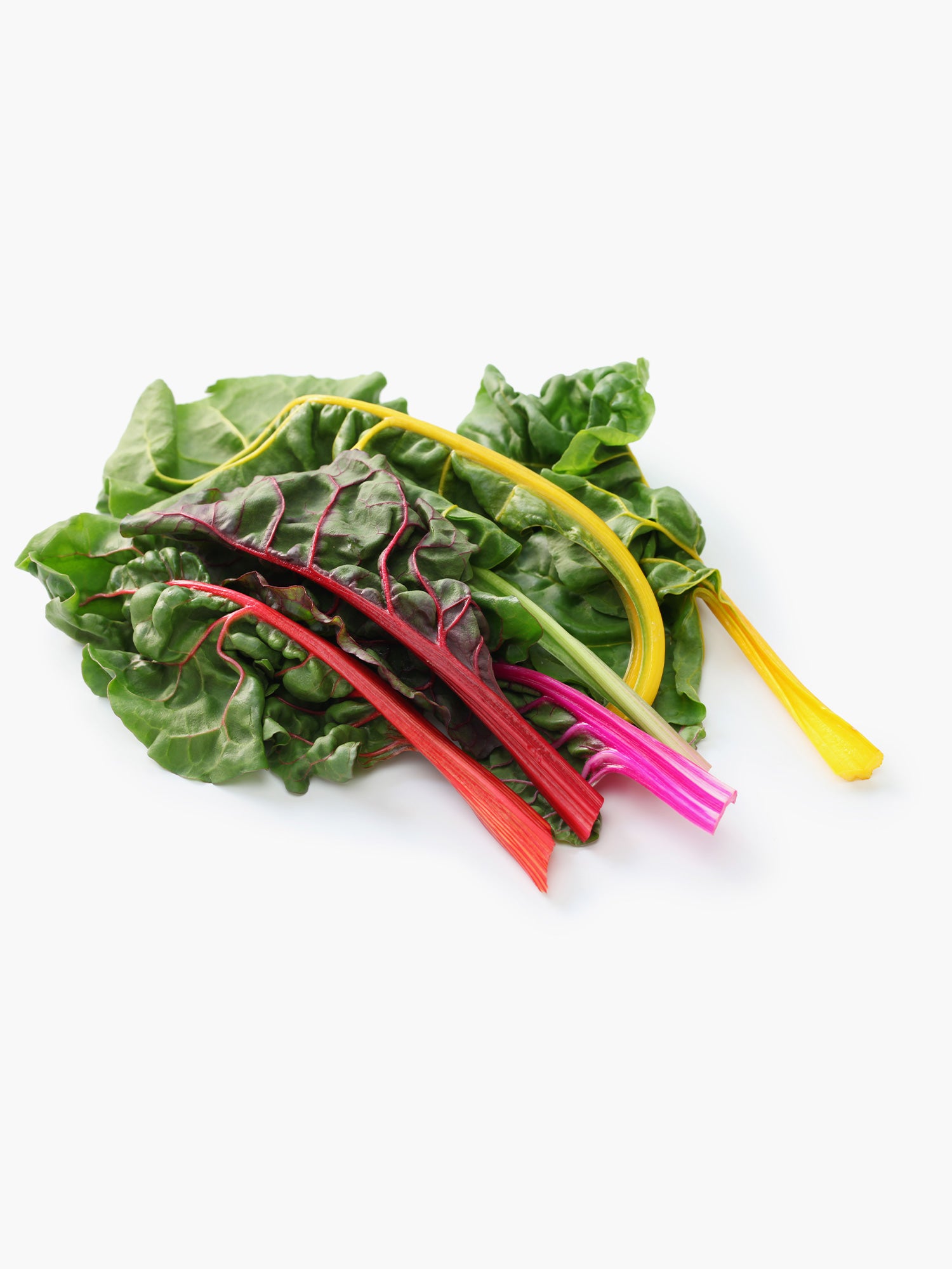 Swiss Rainbow Chard