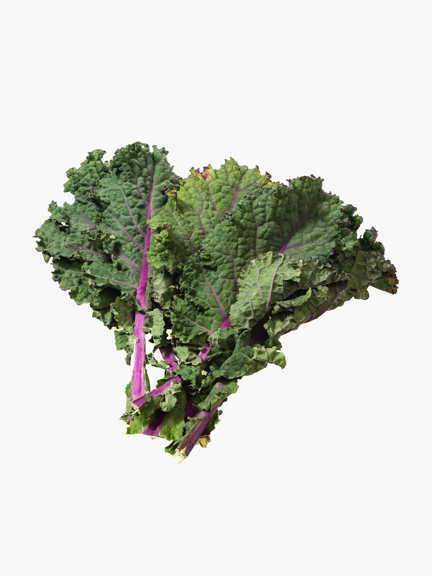 Red Kale