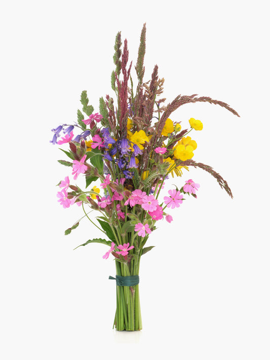 Seasonal Flowers