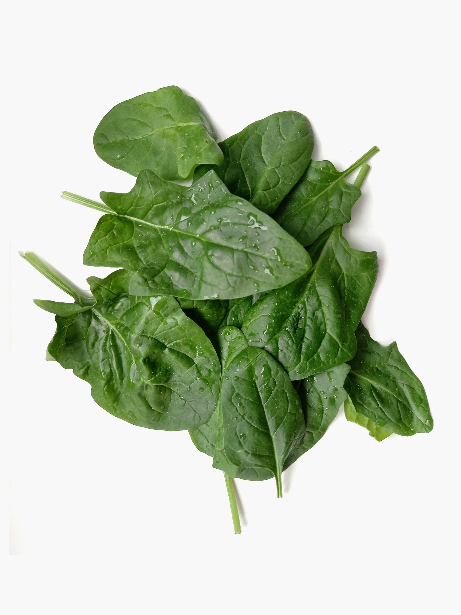Spinach
