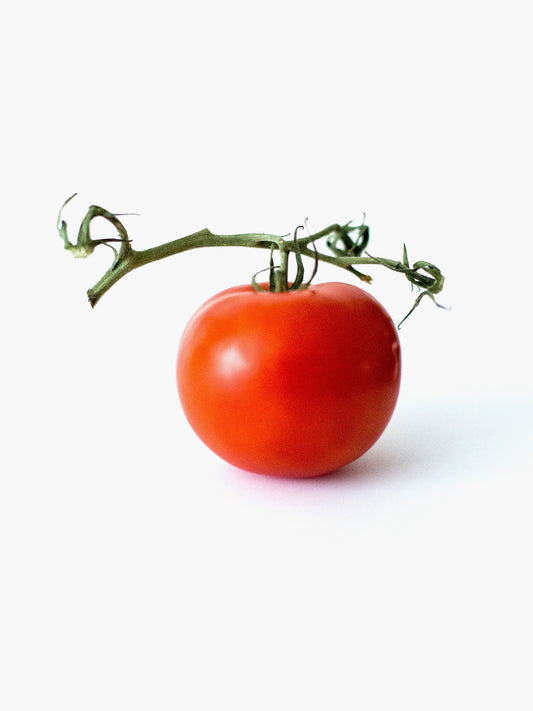 Globe Tomato