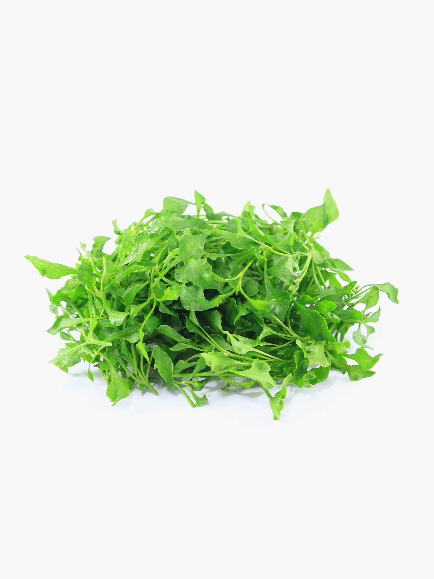 Watercress