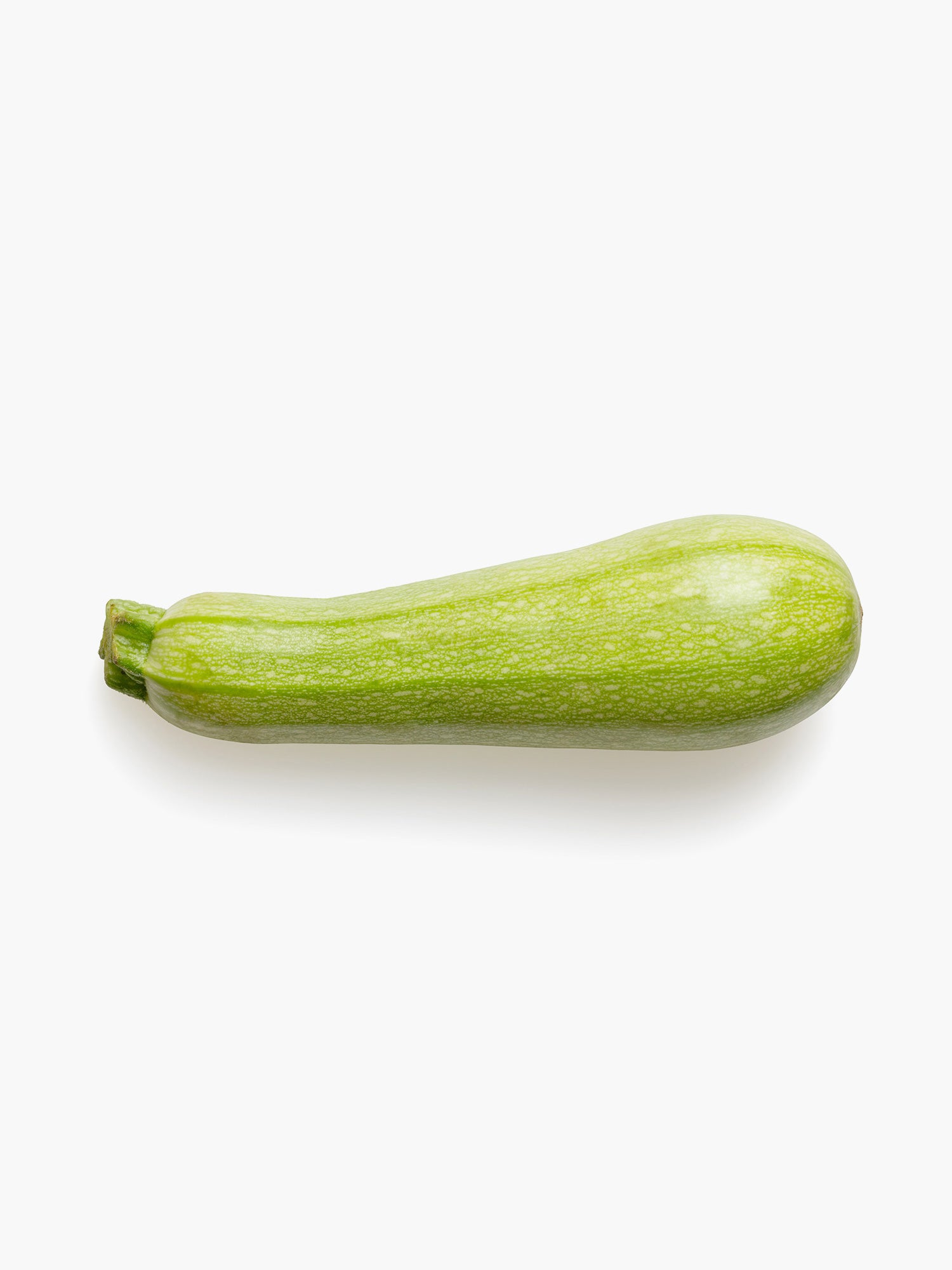 Mexican Squash