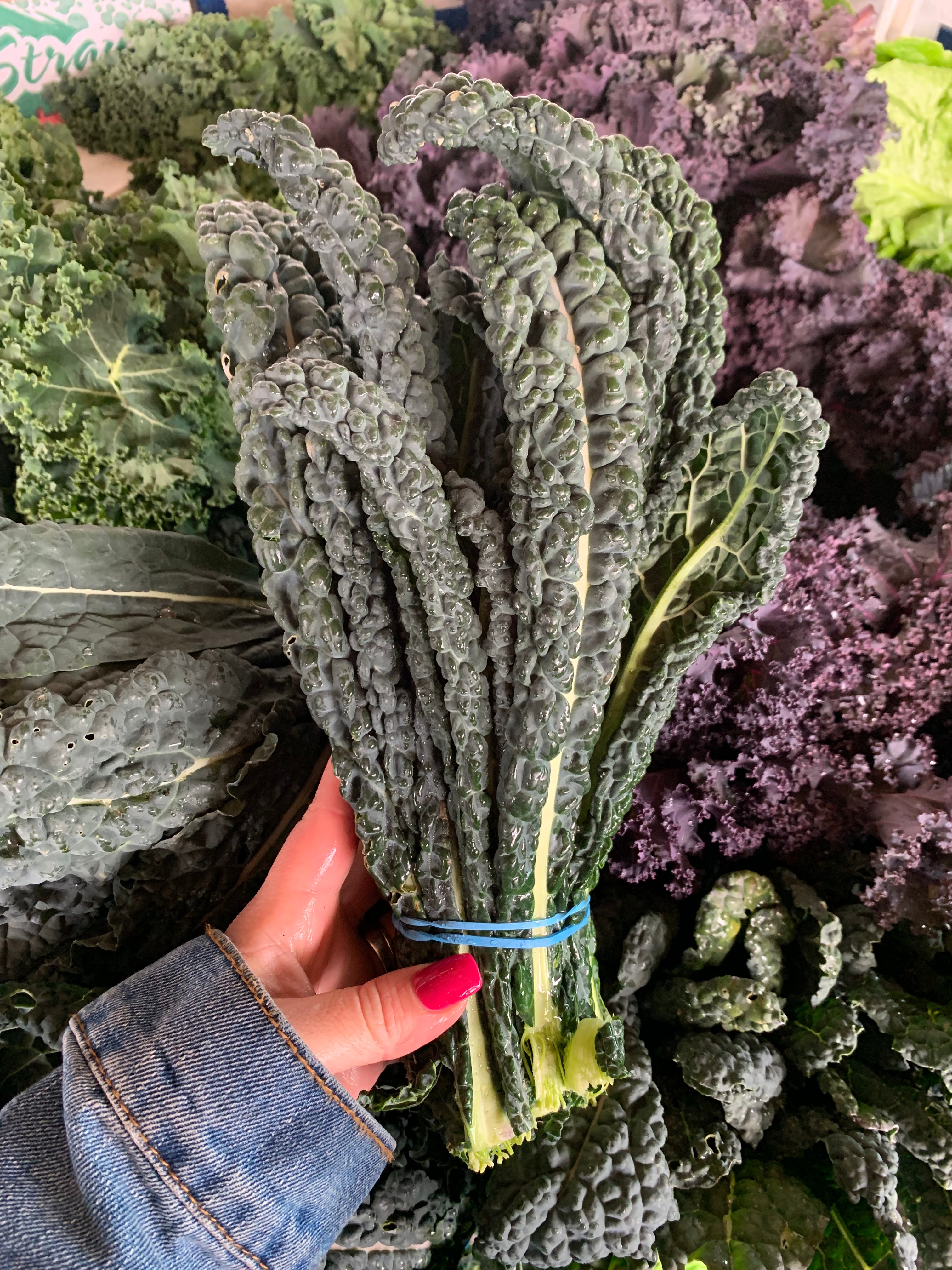 Dino Kale