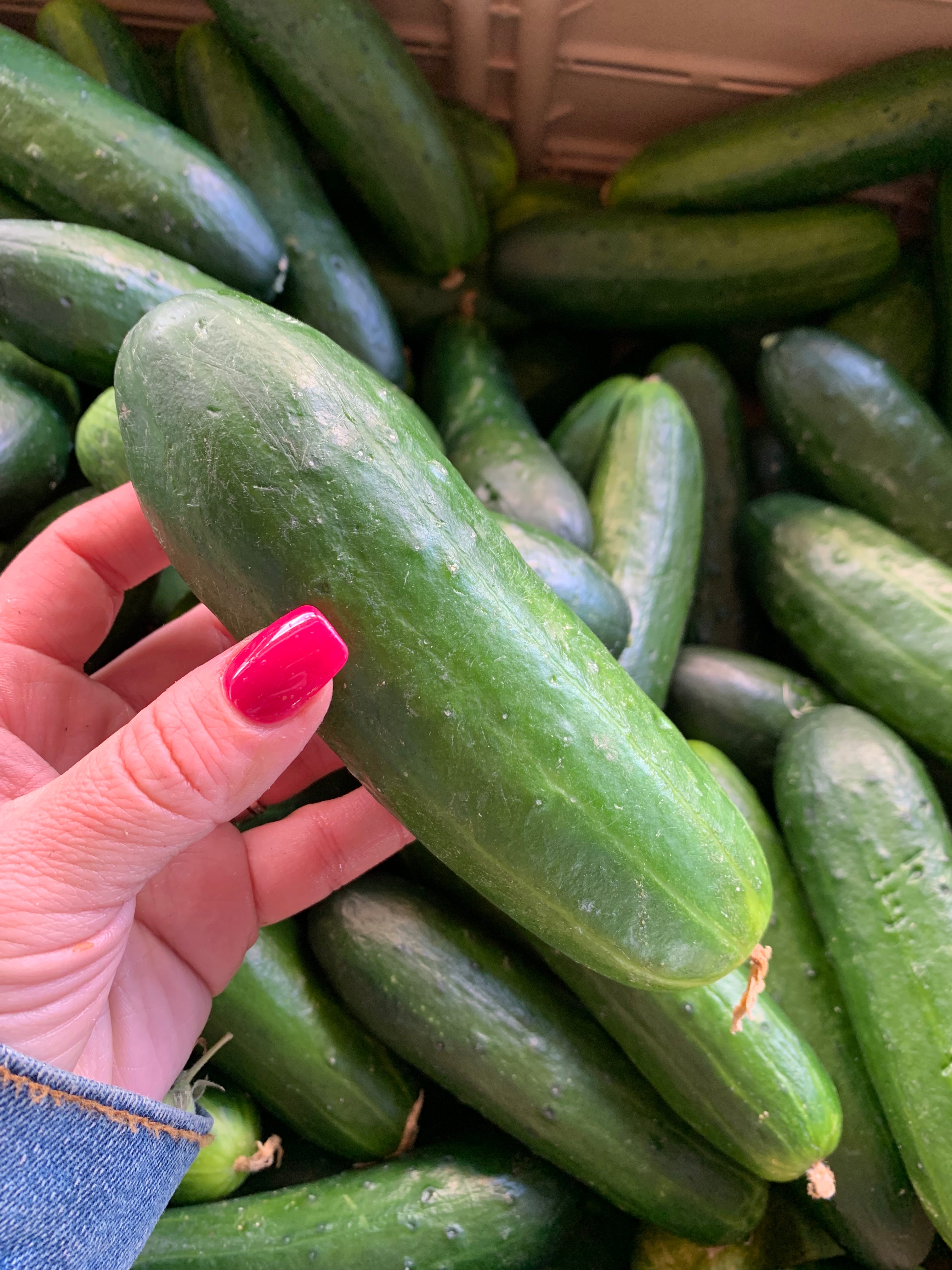 Pickling Cucumber