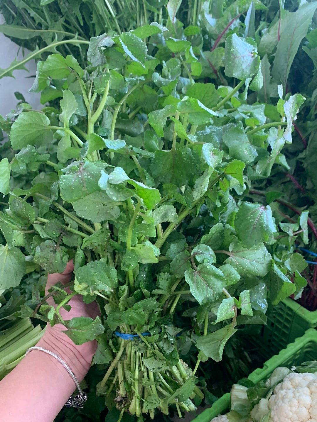 Watercress