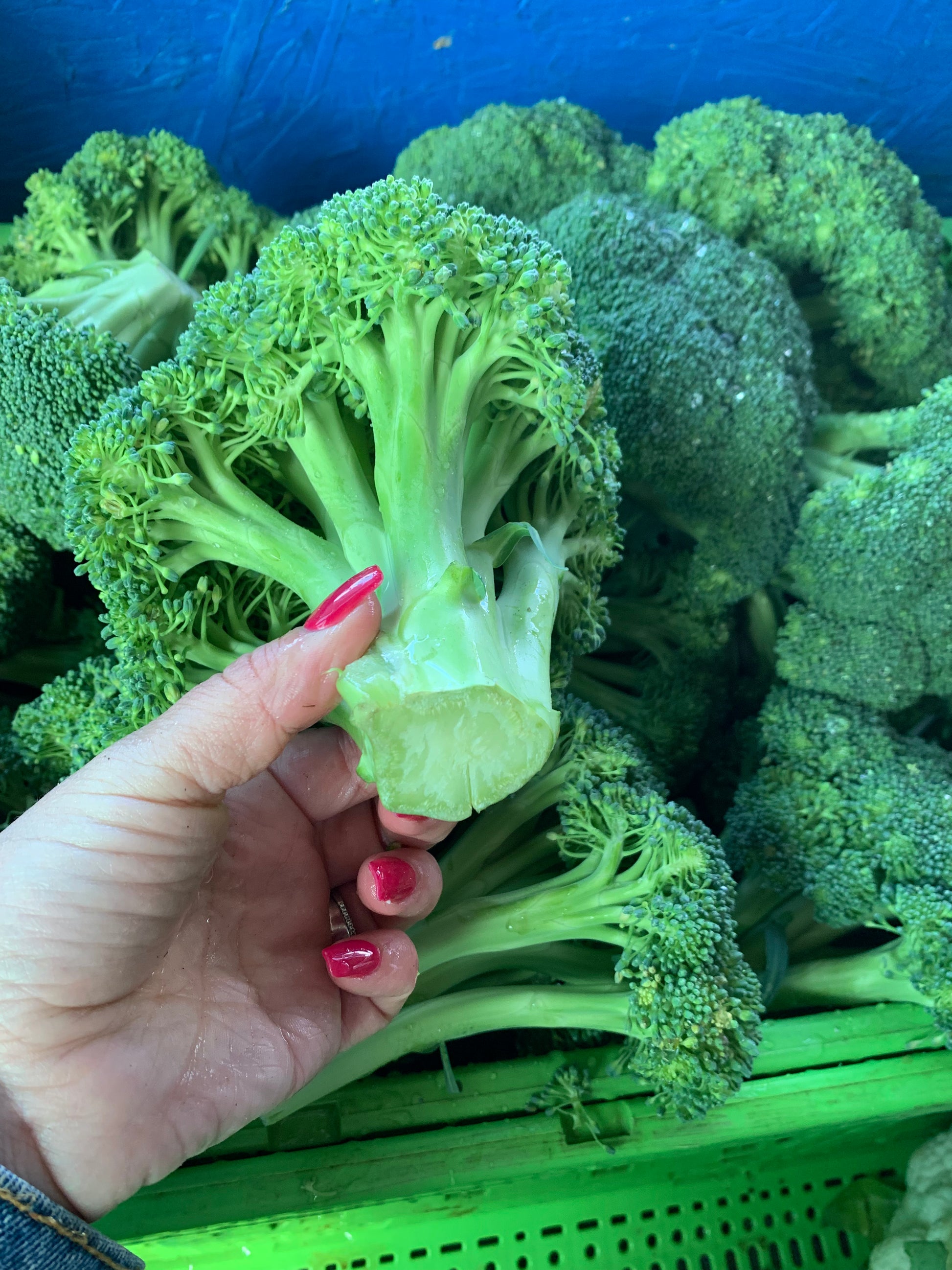Broccoli