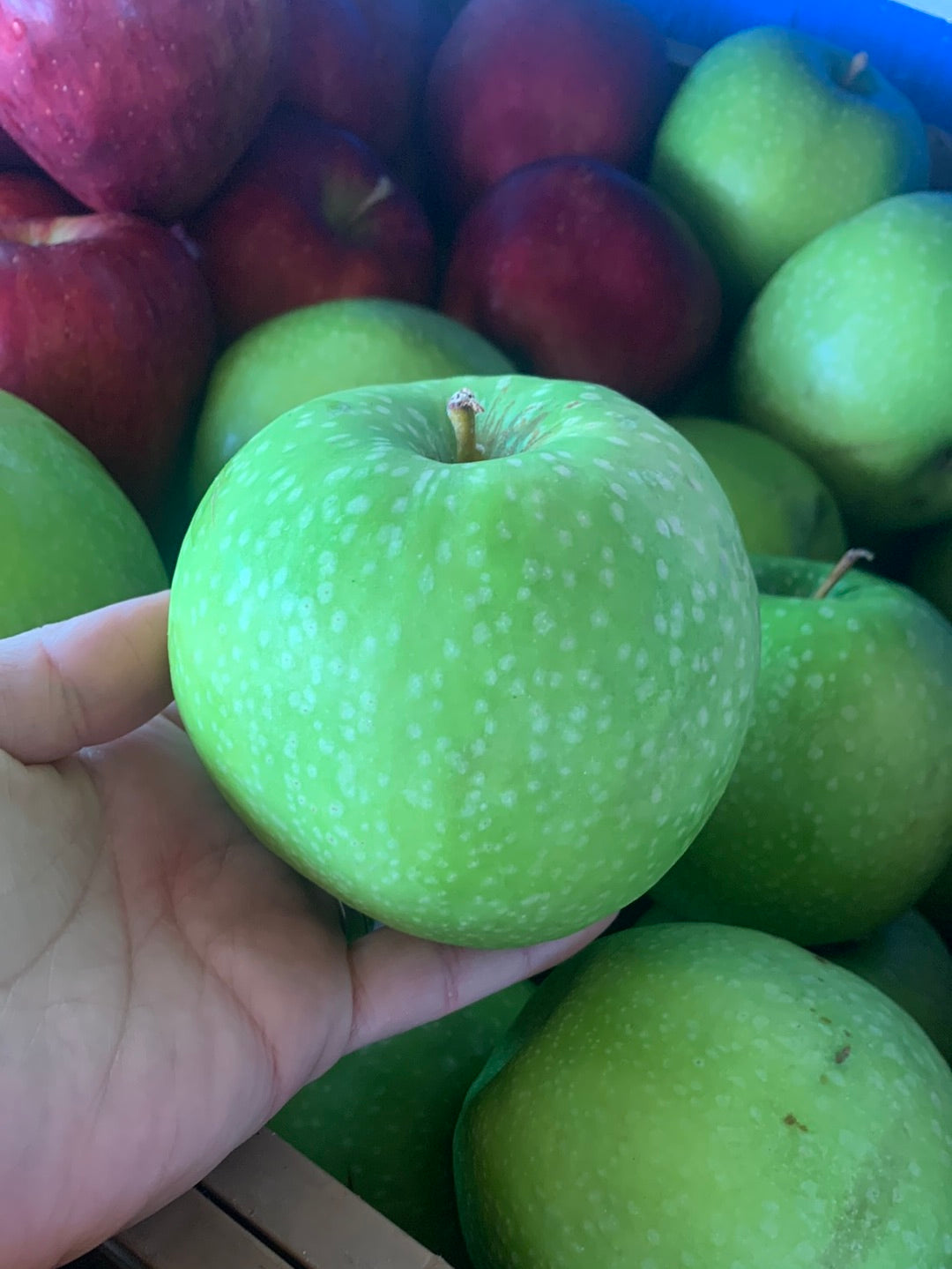 Granny Smith Apples