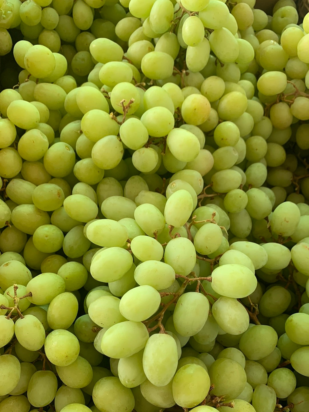 Green Grapes