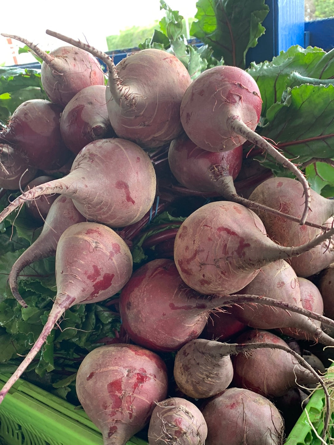 Beets