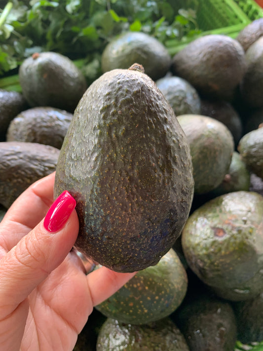 Large Hass Avocado