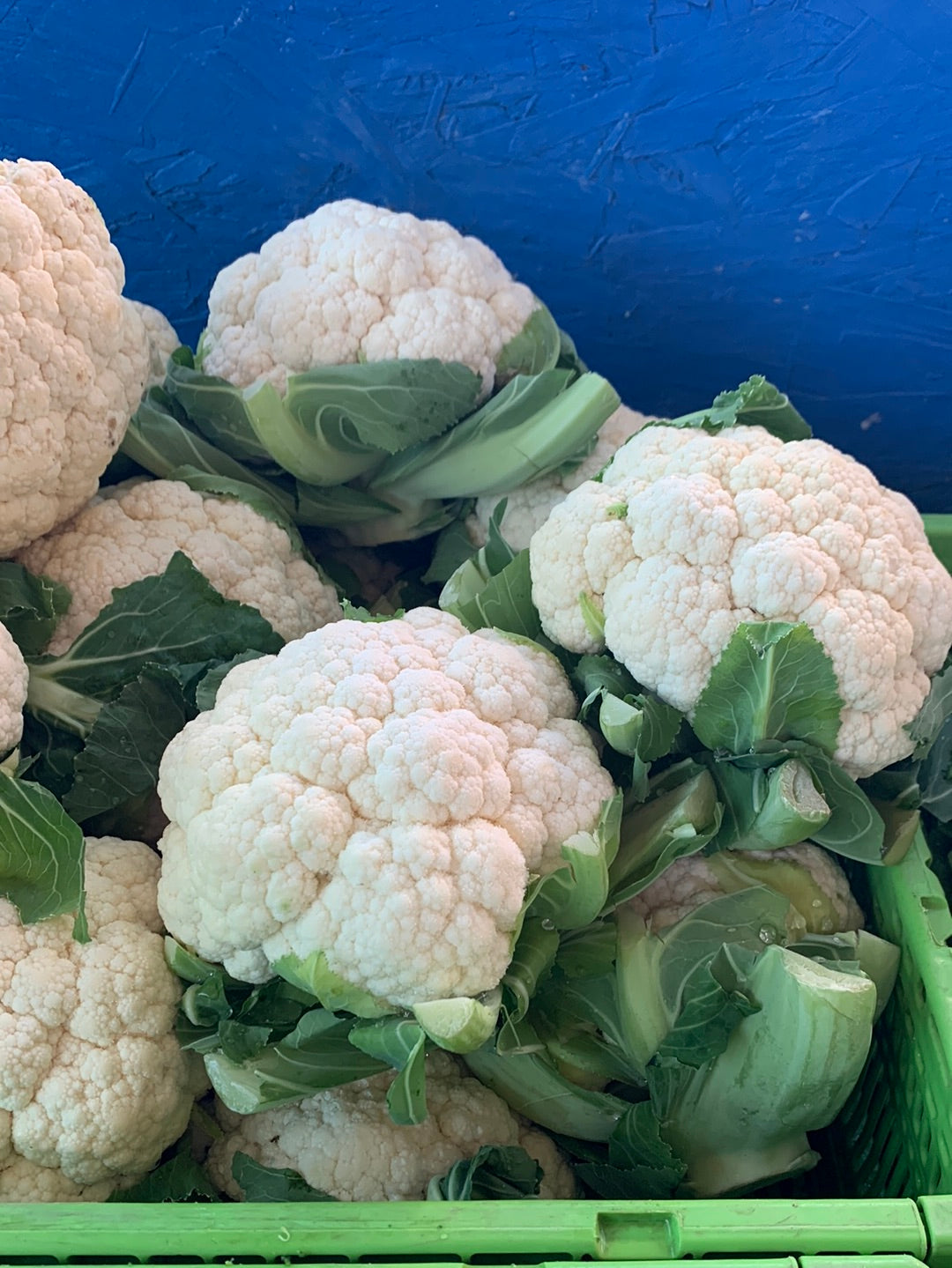 Cauliflower
