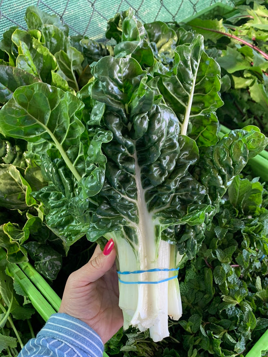 Swiss Green Chard