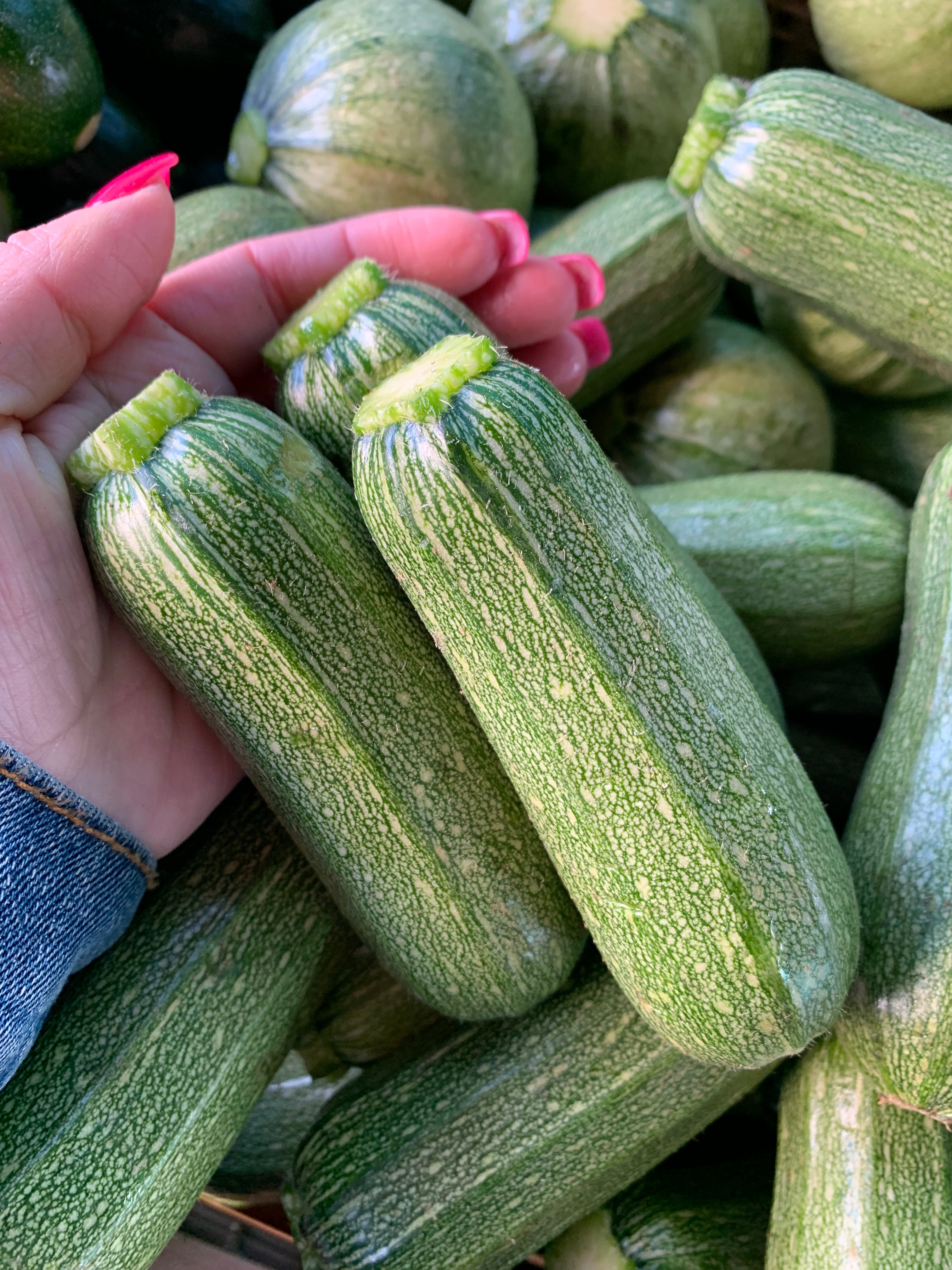 Mexican Squash