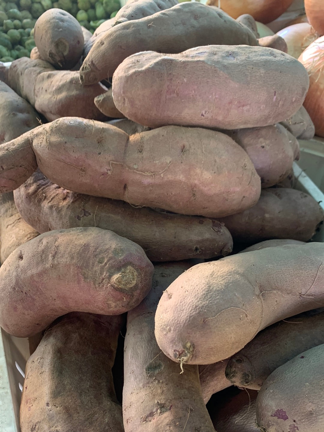 Purple Yam