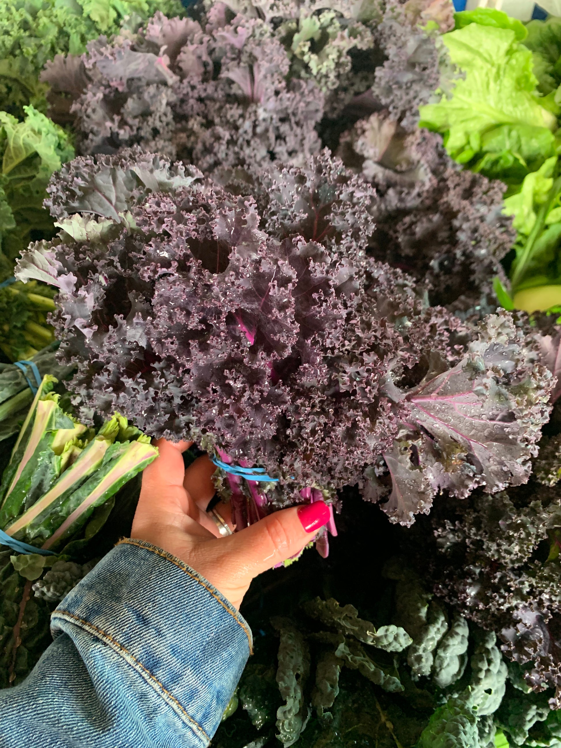 Red Kale