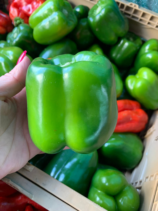Green Bell Pepper