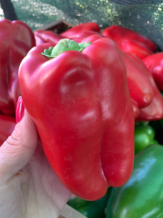 Red Bell Pepper