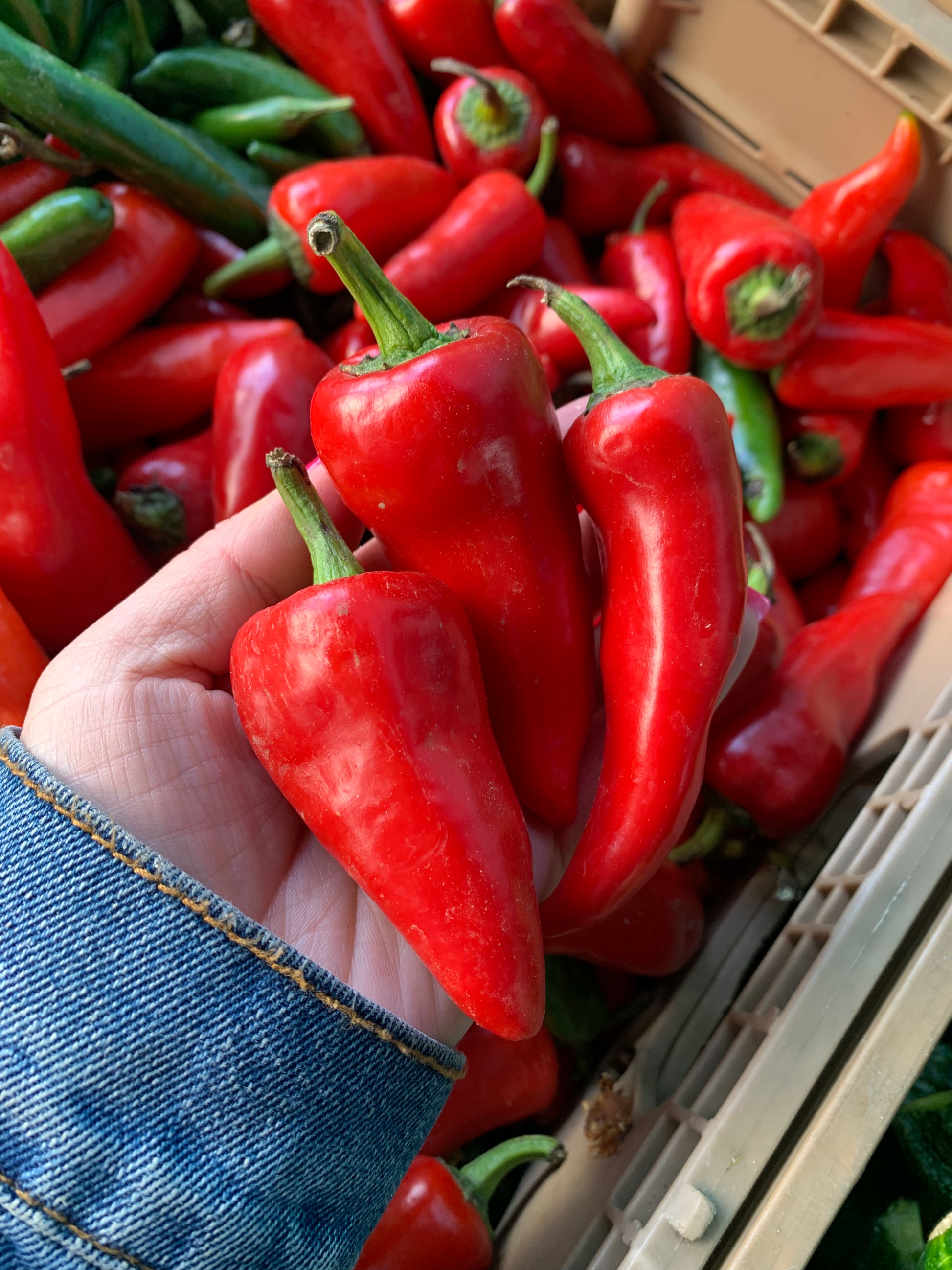 Jalapeños